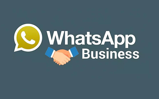 Скачивание и установка WhatsApp Business Web на компьютер