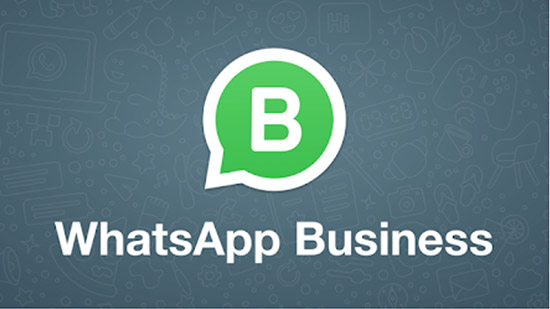 Скачивание и установка WhatsApp Business через APK