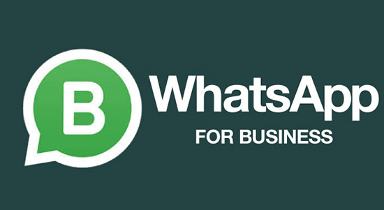 Скачивание и установка WhatsApp Business через APK