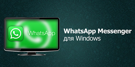 Обзор WhatsApp для ПК на ОС Windows XP: где можно скачать