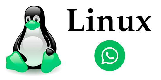 Как установить на компьютер Whatsapp для Linux Ubuntu
