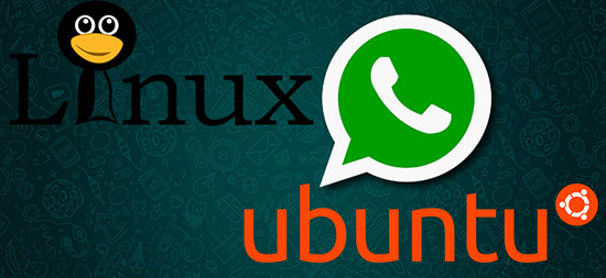 Как установить на компьютер Whatsapp для Linux Ubuntu