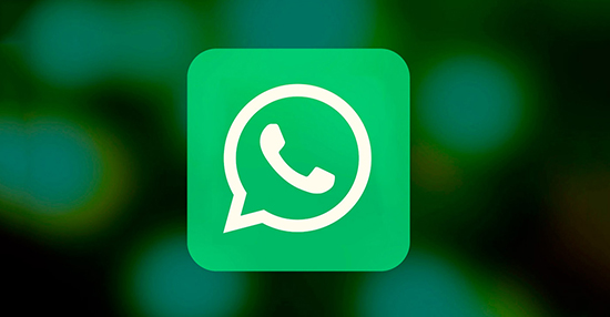 Что такое WhatsApp Portable и как его скачать на ПК