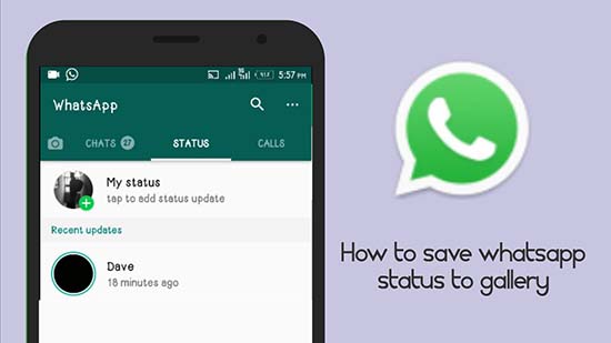 Что означает Мой статус в WhatsApp: инструкция