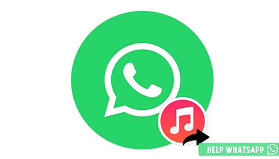 Как поставить песню в статус WhatsApp