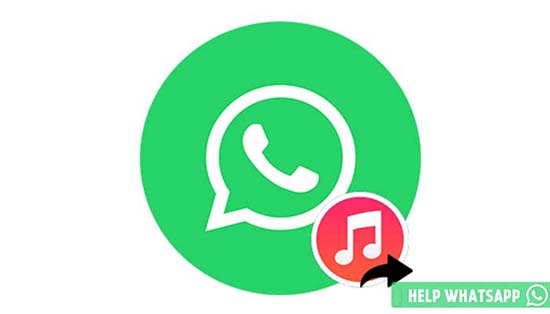 Файл key whatsapp где находится