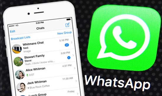 Лучшие прикольные названия для групп в WhatsApp