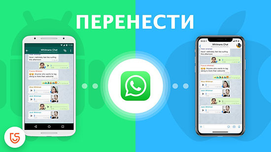 Перенос WhatsApp с iPhone на телефон Android