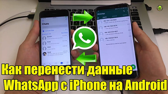 Перенос WhatsApp с iPhone на телефон Android