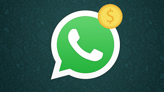 Раскрутка и заработок на группе в WhatsApp