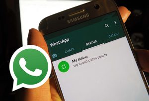 Как сохранить статус в whatsapp другого человека