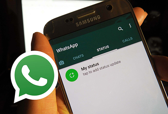 Копирование и сохранение статусов в WhatsApp