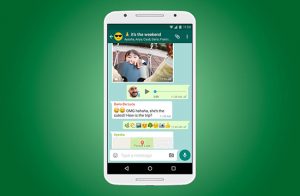 Как сохранить статус в whatsapp другого человека