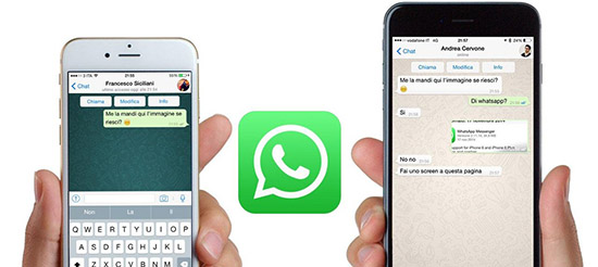 Инструкция по удалению переписок в WhatsApp на iPhone