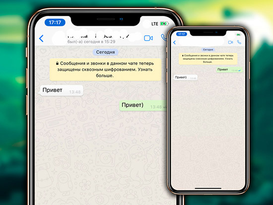 Инструкция по удалению переписок в WhatsApp на iPhone
