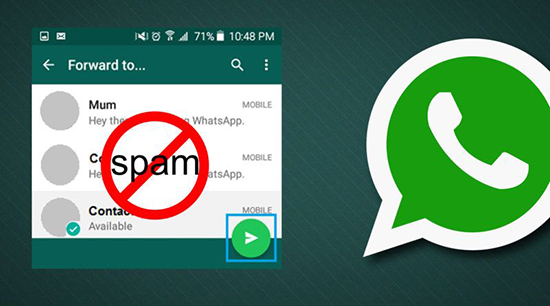 Как закрыть WhatsApp группу от спамеров: защита от спама