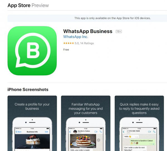 Все об использовании WhatsApp Business на телефоне