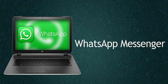 Скачивание и установка WhatsApp для ноутбука