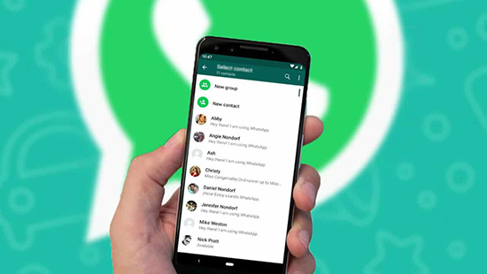 Лимит участников группы WhatsApp, которые могут вступить