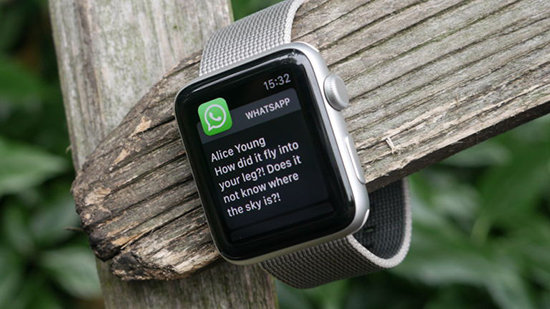 Установка и настройка WhatsApp на часах Apple iWatch