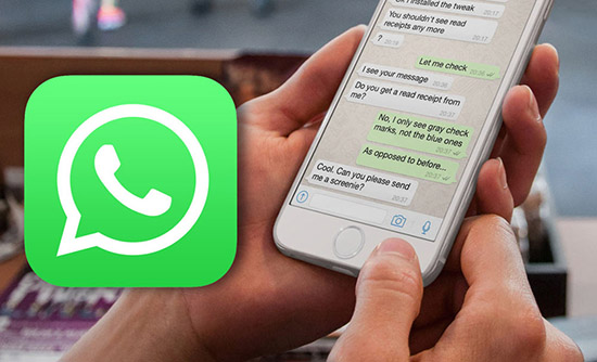 Что такое администратор группы в WhatsApp: FAQ по функционалу