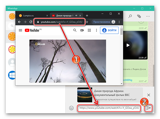 Как вставить видео с Youtube в WhatsApp без ссылки