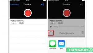 Как перенести запись диктофона с apple watch на iphone