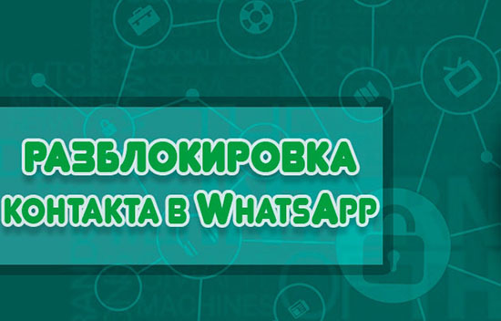 Способы снять блокировку с контакта в WhatsApp