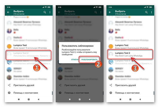 Способы снять блокировку с контакта в WhatsApp