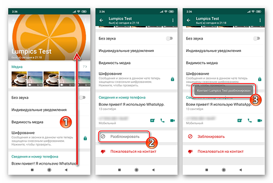 Способы снять блокировку с контакта в WhatsApp
