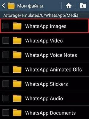 Способы восстановления удаленных файлов, фото, видео в WhatsApp