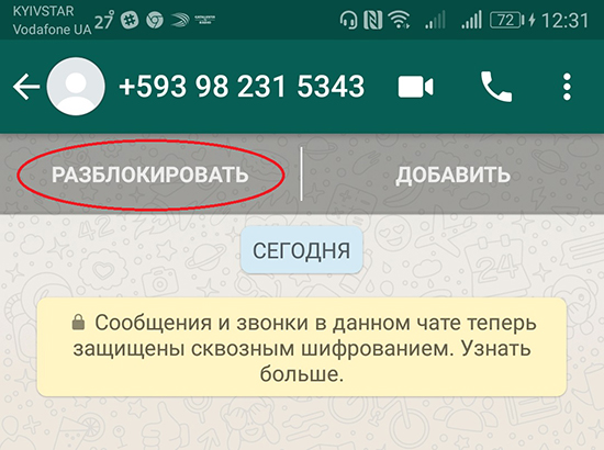 Если заблокировать контакт в whatsapp увидит ли фото профиля