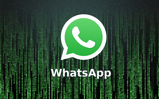 Как в чате WhatsApp сделать сообщение закрепленным