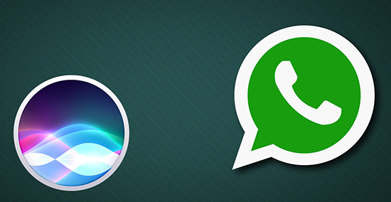 Что такое группы в WhatsApp и для чего они нужны
