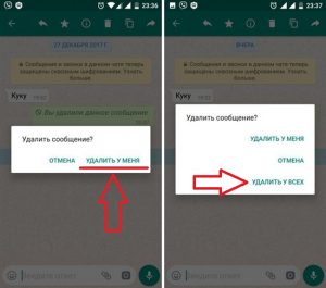 Программа отслеживающая посещение whatsapp