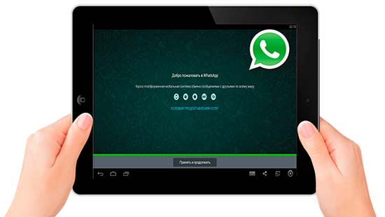 Как установить WhatsApp с одним номером на телефон и планшет