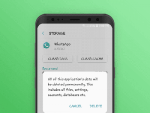 Databases whatsapp что это можно ли удалить