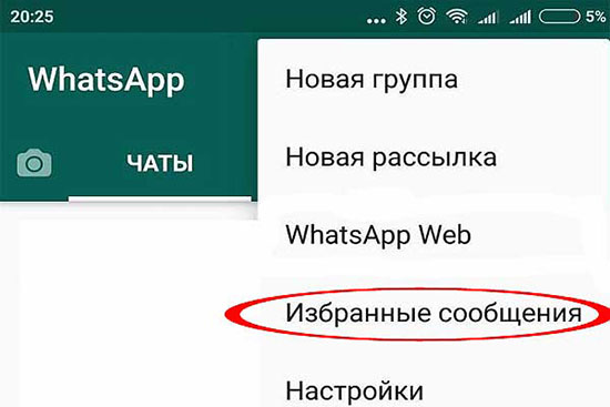 Что значит звездочка в WhatsApp: инструкция по использованию