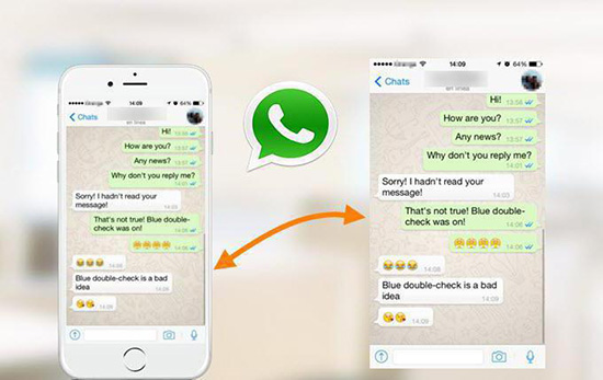 Пошаговая инструкция по использованию WhatsApp для чайников