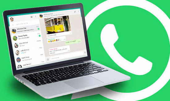 Способы сохранить фотографии из WhatsApp на компьютер