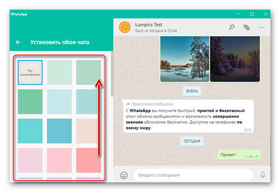 Как изменить фон в WhatsApp на iPhone и Android