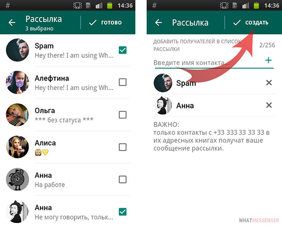 Создание массовой рассылки в WhatsApp по базе