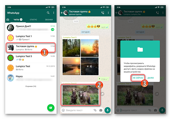 Способы скачать фотографии с WhatsApp в галерею на Android