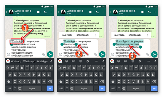 Способы выделения текста в WhatsApp жирным