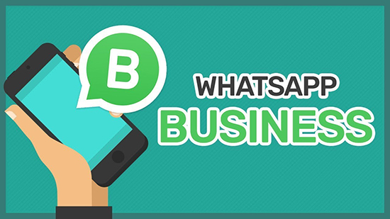 Создание массовой рассылки сообщений в WhatsApp Business