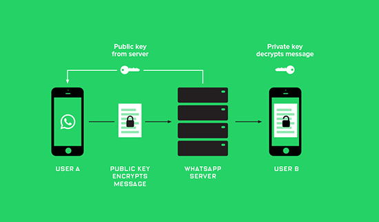 Что значит защищено сквозным шифрованием в WhatsApp