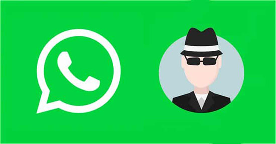 Возможности WhatsApp Spy: где скачать, инструкция по использованию
