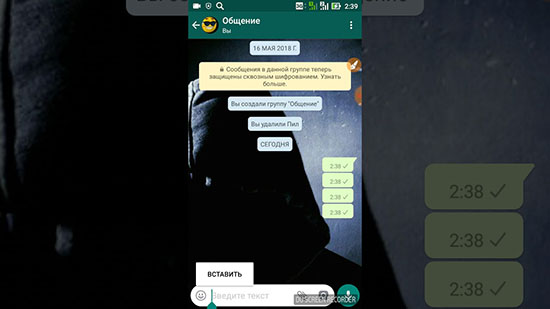 Как сделать пустое сообщение в WhatsApp на телефоне