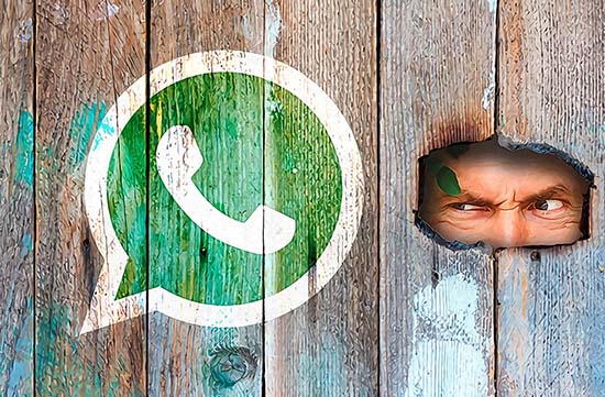 Почему не получается добавить контакт в WhatsApp и что делать