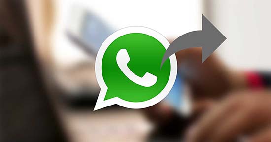 В WhatsApp не отправляются сообщения обычные и голосовые